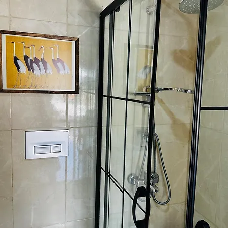 호텔 Tas Ev Adrasan *