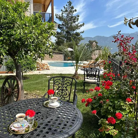 Tas Ev Adrasan Hotel *