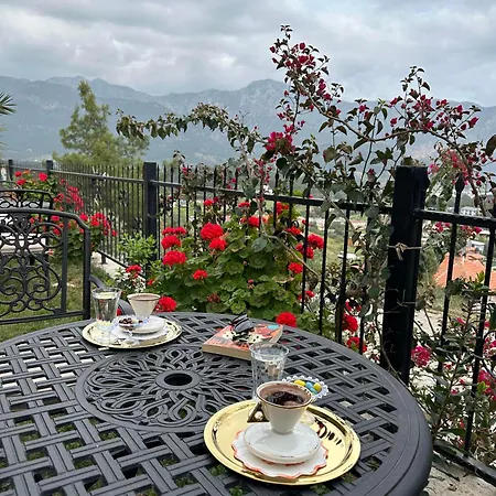 Tas Ev Adrasan Hotel